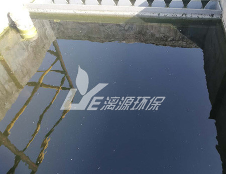 肉类加工废水处理工艺的选择有哪些呢？