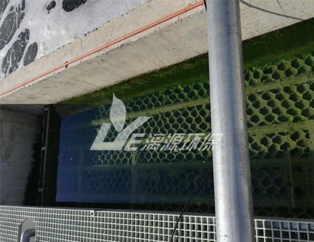 MVR蒸发器在制药工业废水处理中的应用