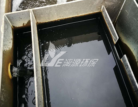 膜分离系统在天然植物中提取的应用