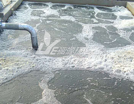 浅谈污水处理中反硝化细菌的作用以及使用方法