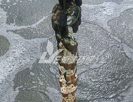 污水处理后产生的污泥如何分类？