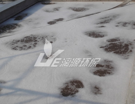 高难度工业污水处理工艺的水解工艺和厌氧工艺