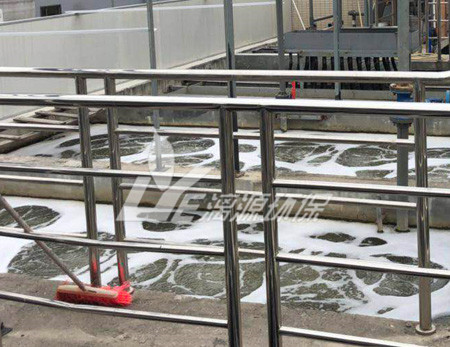 食品废水处理技术中酵母菌的分类与特点