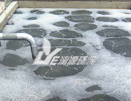 杏鲍菇废水处理该选用“混凝沉淀”还是“混凝气浮”？