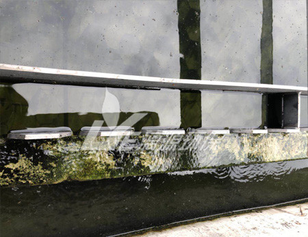 某生物制药厂废水处理工艺研究