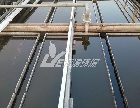 大蒜加工污水处理