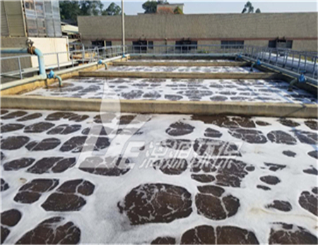 即食食品加工废水处理技术