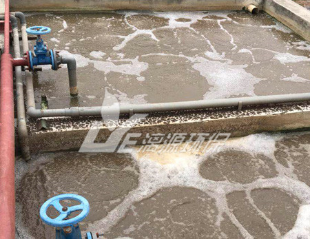 宠物养殖基地废水处理技术