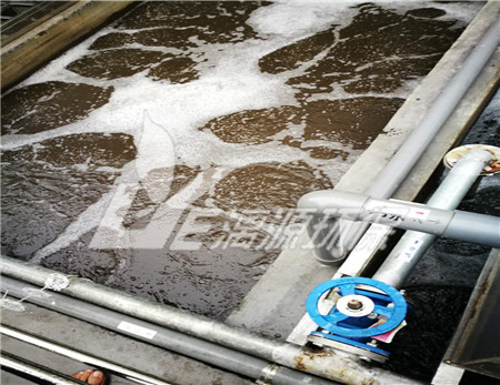 脱水蔬菜废水处理技术