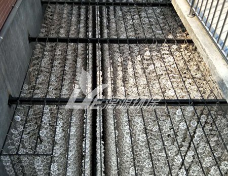 污水处理中的生物填料