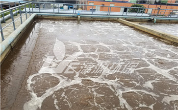 聚氯乙烯生产废水处理技术