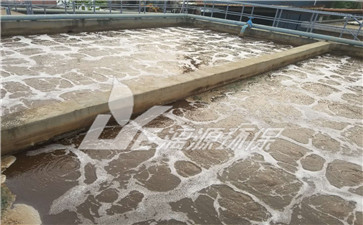 花纸生产废水处理