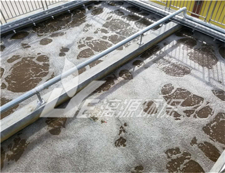 鸭货加工废水处理工艺