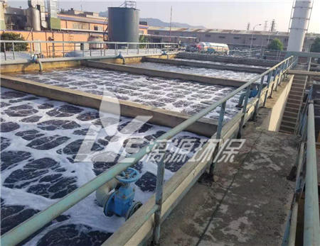 肉类加工废水处理工程