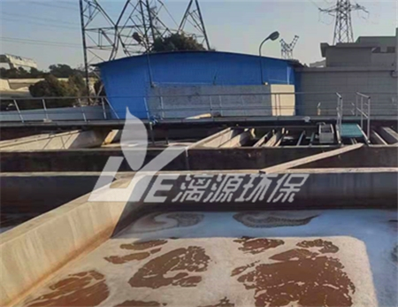 膏霜类化妆品废水处理工艺