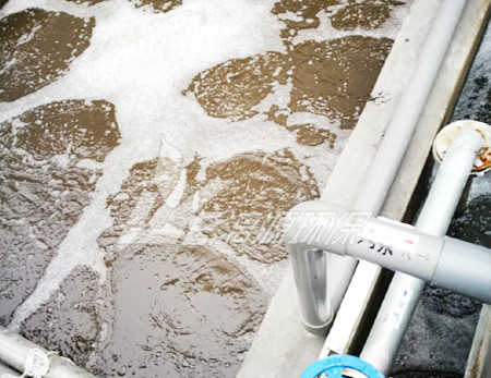 养猪场养殖污水处理