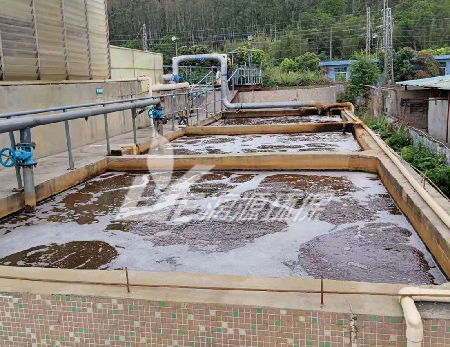 杏仁加工废水处理工艺