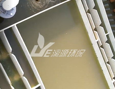 柑橘加工高浓度果胶废水处理方法