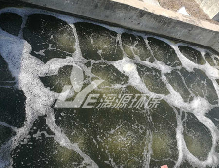 大豆乳清废水处理方法