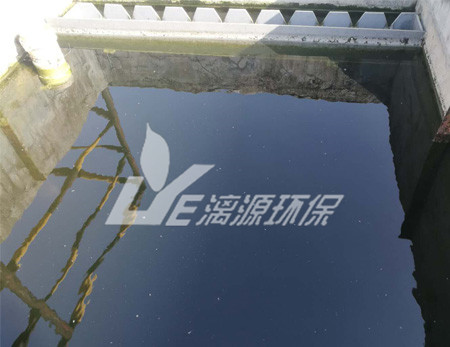 养殖废水处理设备讲解