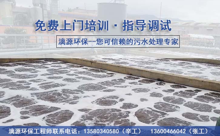 甜菜碱生产废水处理