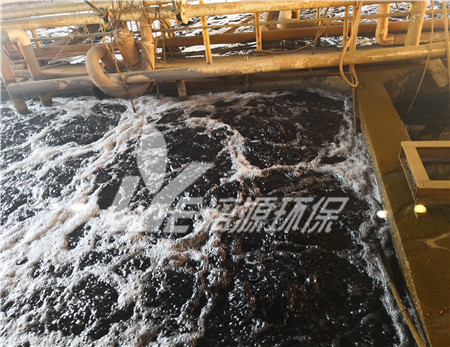 含铜电镀废水生物法处理