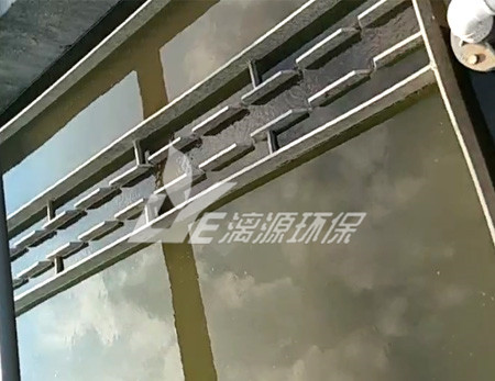 蛋白废水处理方法